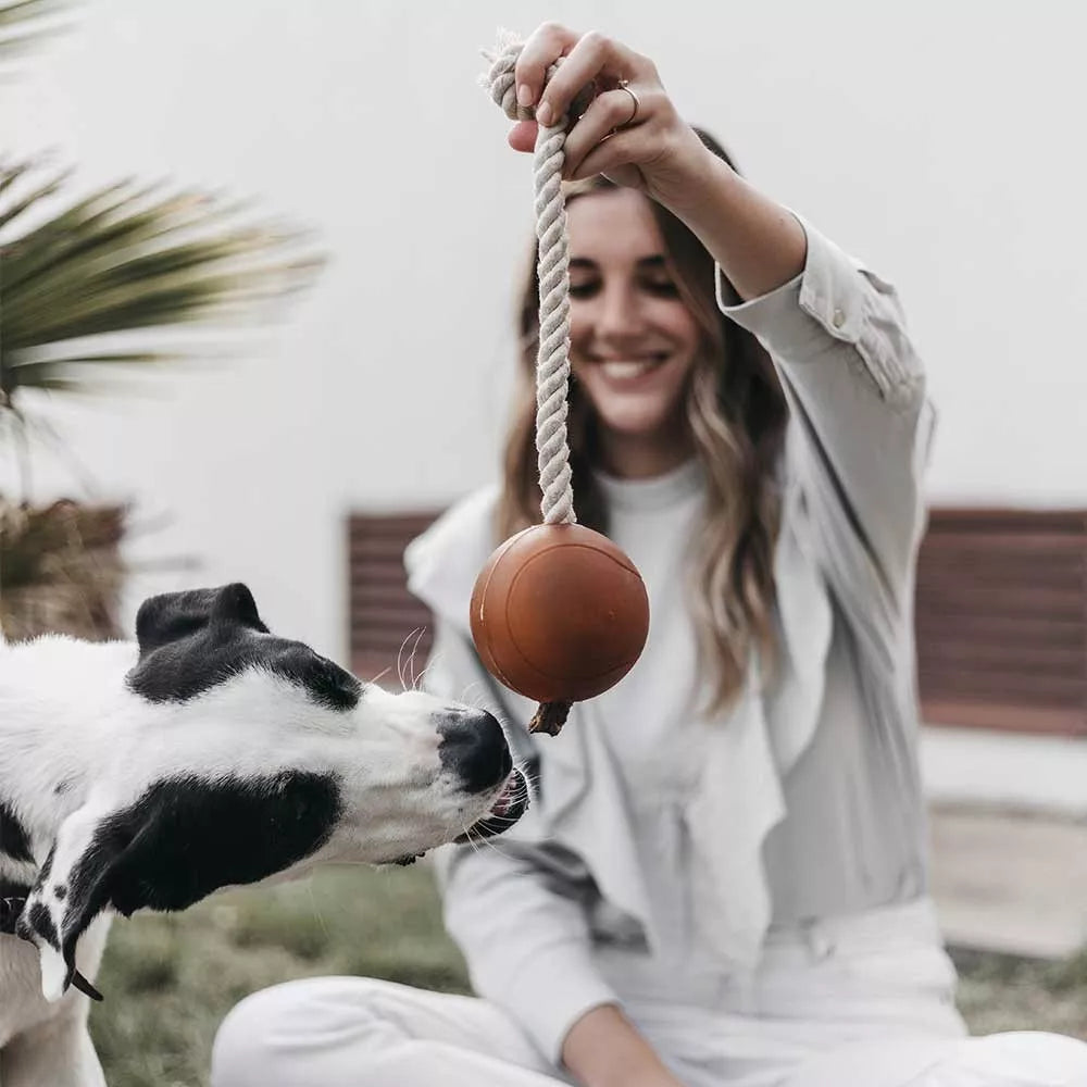 Jouet à lancer et tirer en caoutchouc naturel bio et corde coton - Balle avec corde pour chien - CasualPets