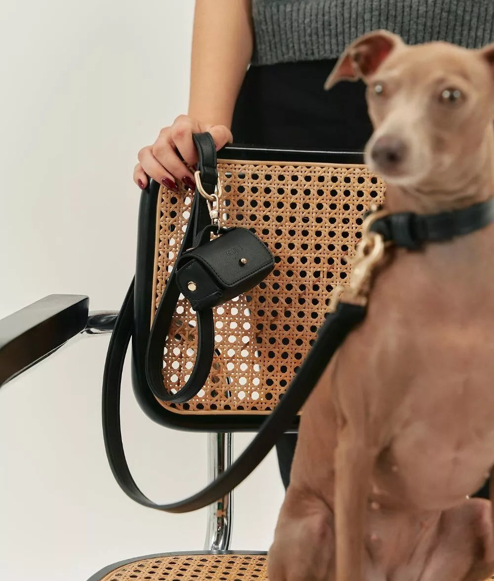 Ensemble laisse, collier et porte sac à déjections cuir végan noir - Kit accessoires chien premium 3 en 1 - CasualPets