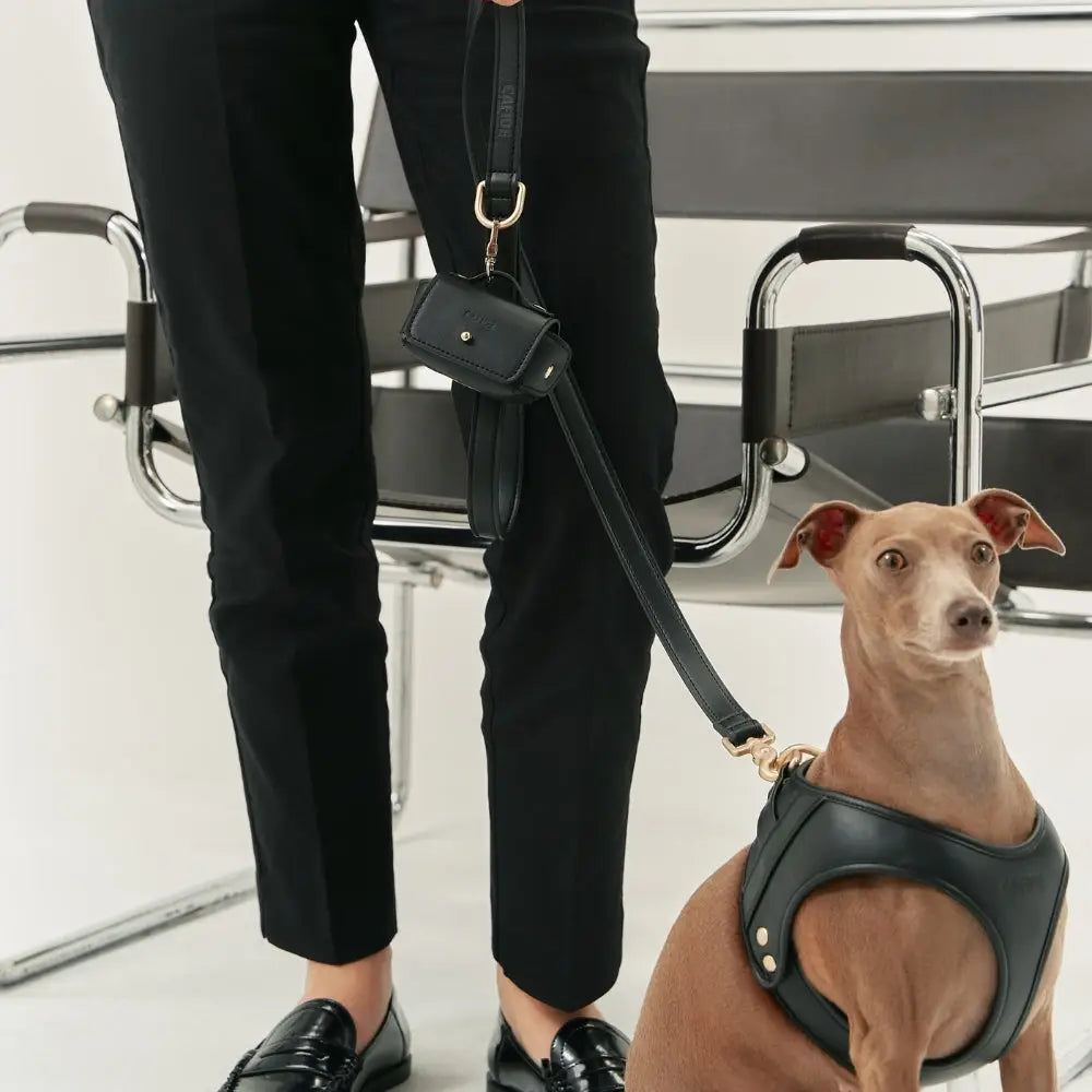 Harnais et laisse chien cuir végan noir avec porte sac à déjections amovible - Ensemble accessoires premium - CasualPets