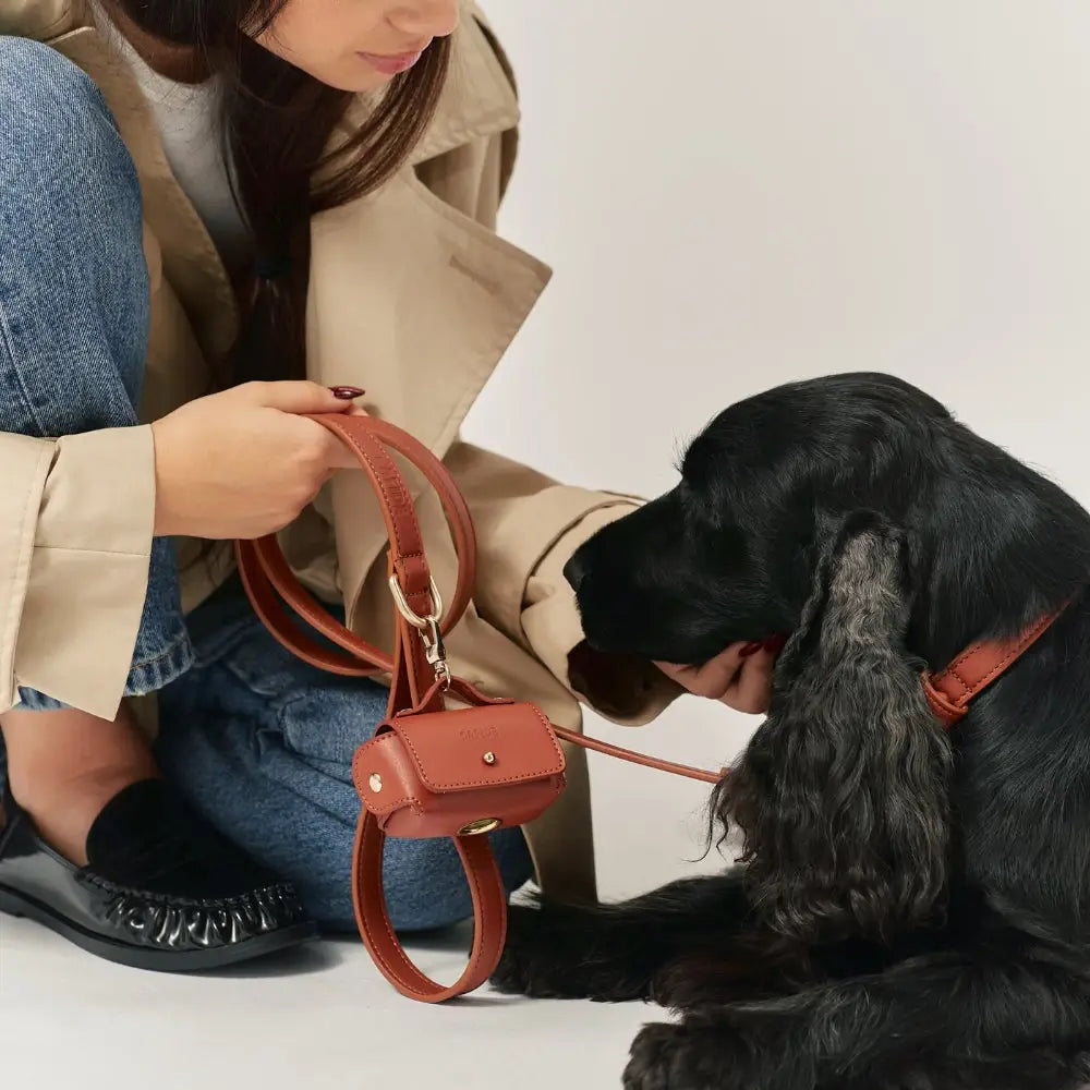 Ensemble laisse, collier et porte sac à déjections cuir végan marron cognac - Kit accessoires chien premium - CasualPets