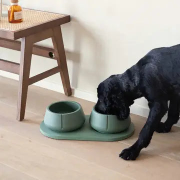 Double gamelles vert sauge plateau antidérapant chien chat - Set ergonomique design surélevé - CasualPets