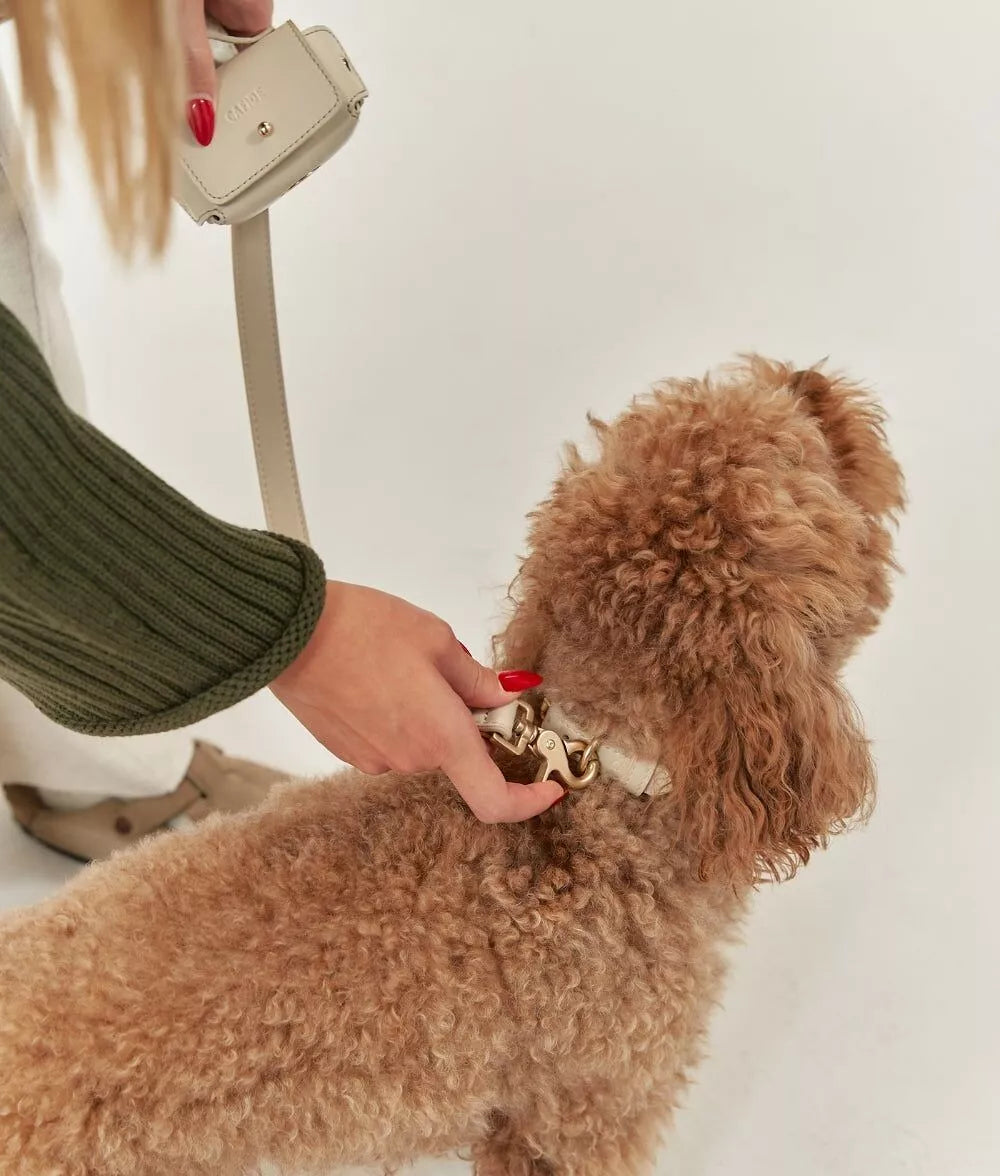 Set promenade beige : collier, laisse bandoulière et distributeur sachets - Accessoires élégants