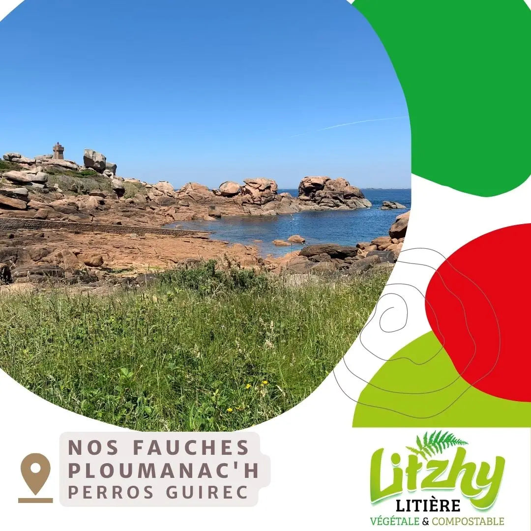 Côte bretonne de Ploumanac'h Perros-Guirec source de la litière végétale Litzhy - Origine locale française écologique - CasualPets