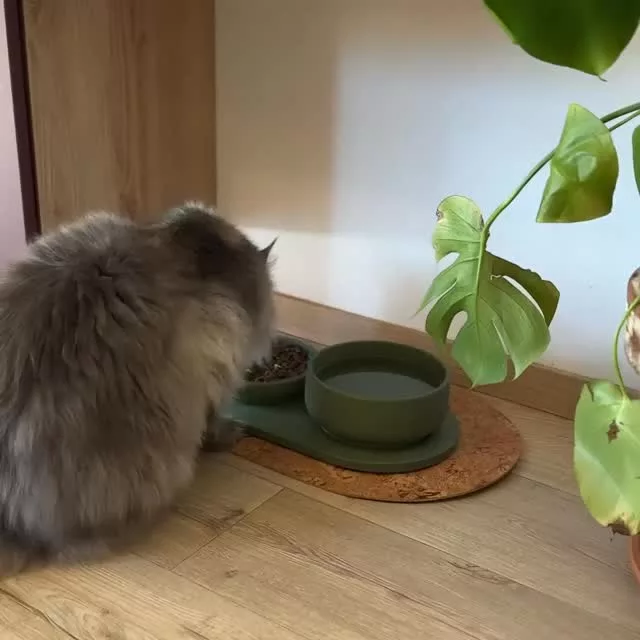 Tapis antidérapant pour gamelles chien chat en liège naturel - Support écologique et design - CasualPets